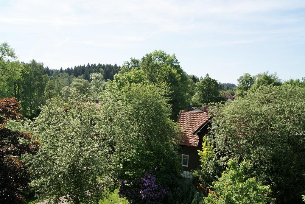 Hotel Hotel Braunlage Braunlage
