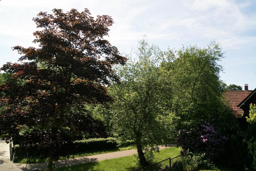 Hotel Hotel Braunlage