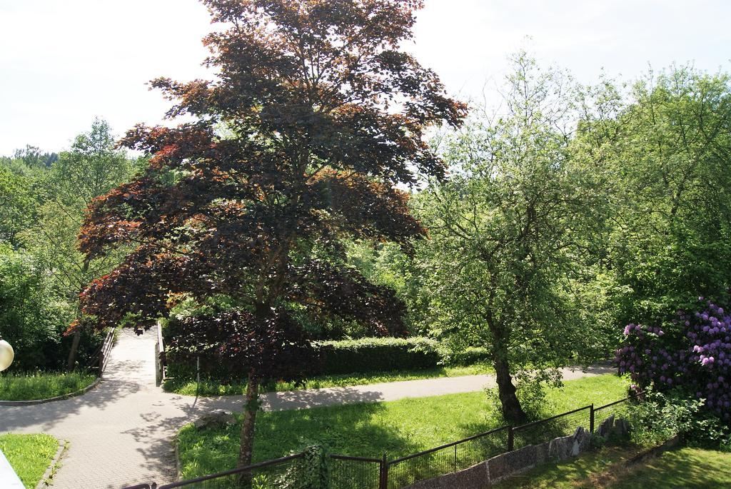 Hotel Hotel Braunlage Braunlage