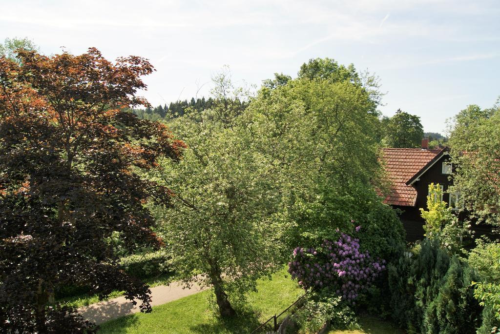 Hotel Hotel Braunlage