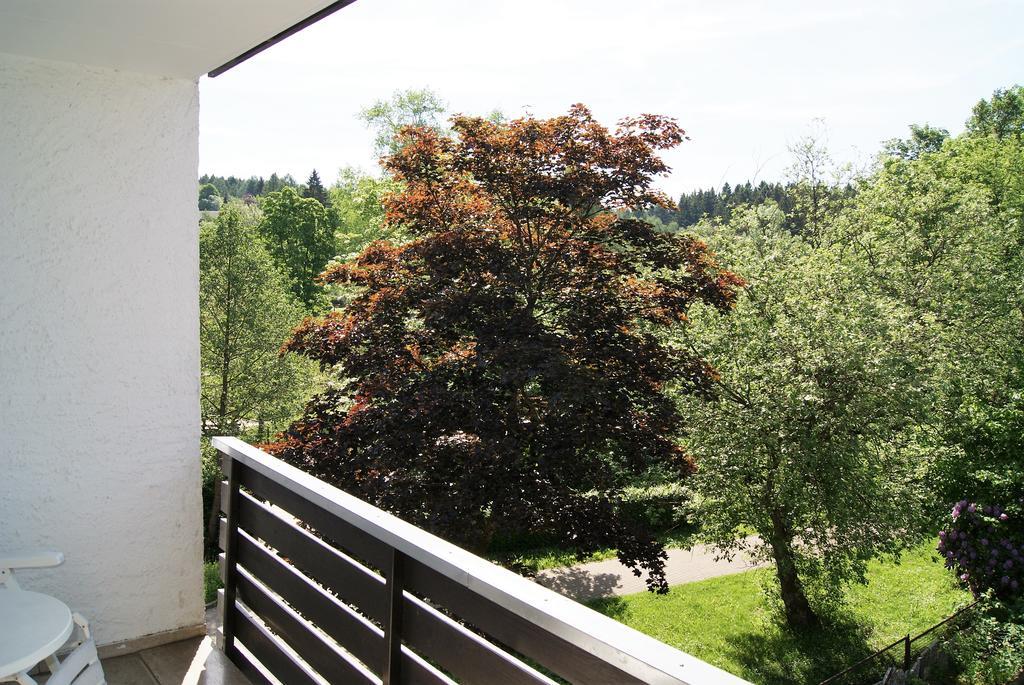 Hotel Hotel Braunlage Braunlage