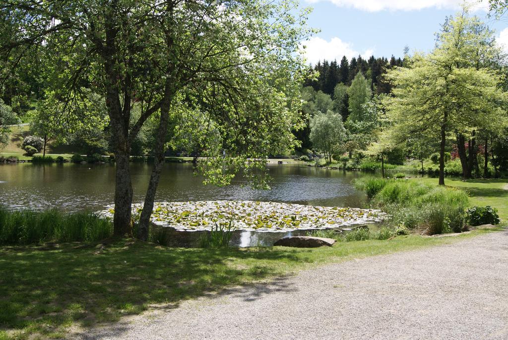 Hotel Braunlage Braunlage